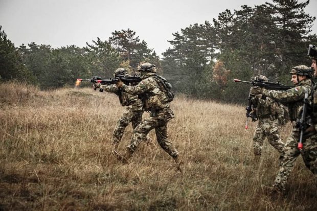 Exerciții militare în două poligoane din Tulcea cu muniție de război