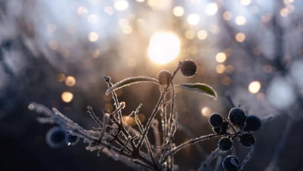 Cum va fi vremea în România, în următoarele două săptămâni. Meteorologii au emis prognoza meteo