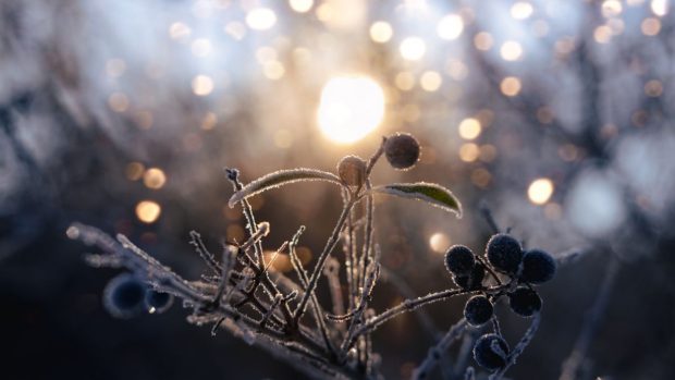 Cum va fi vremea mâine. Prognoza meteo pentru duminică, 22 decembrie