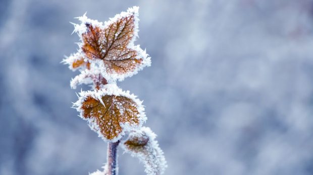 Vremea devine geroasă, cu minime de -14 grade. Apoi va fi mai cald decât normalul perioadei, arată prognoza meteo