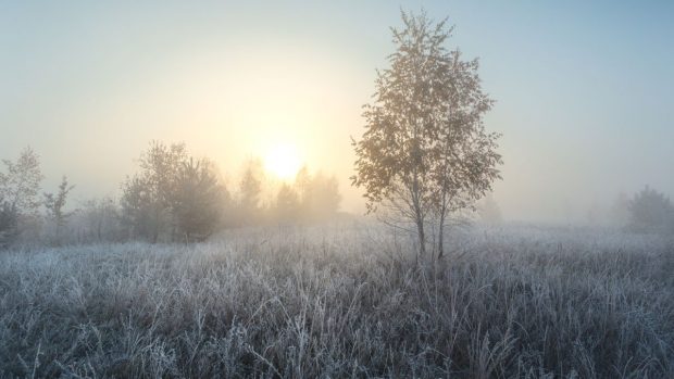 Cum va fi vremea mâine. Prognoza meteo pentru luni, 30 decembrie 2024