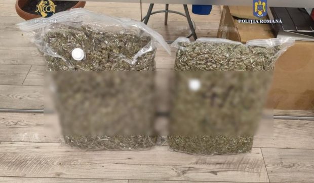 Un bătrân de 70 de ani a fost prins în Arad când primea din Spania un colet cu 9 kg de canabis, trimis de o rudă