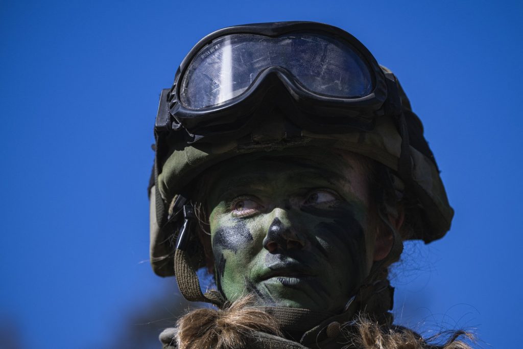 Soldat suedez