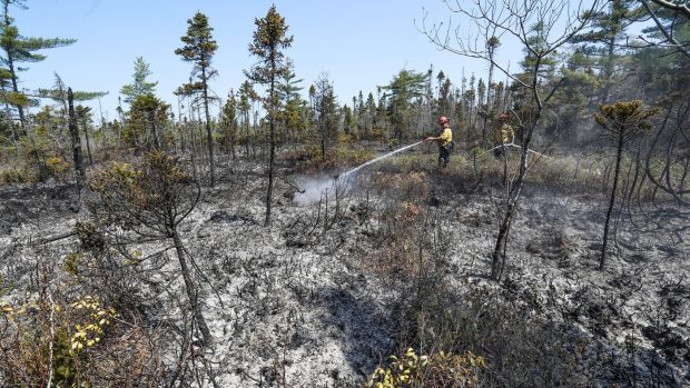 Arctica emite în prezent mai mult CO2 decât absoarbe. „Va exacerba efectele schimbărilor climatice”