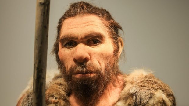 Cel mai vechi ADN cunoscut al speciei Homo sapiens, descoperit în Germania. Momentul major al încrucișării cu neanderthalienii
