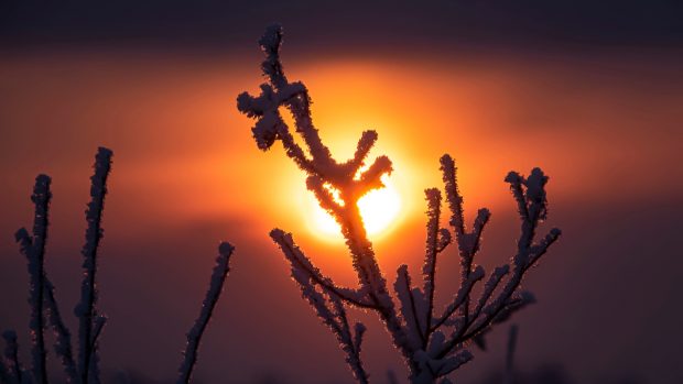 Cum va fi vremea în ianuarie 2025. Prognoza meteo pentru următoarele patru săptămâni 