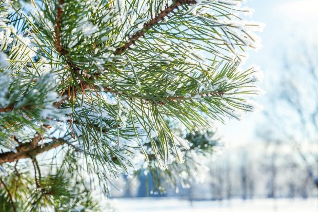 Cum va fi vremea mâine. Prognoza meteo pentru sâmbătă, 7 decembrie 2024