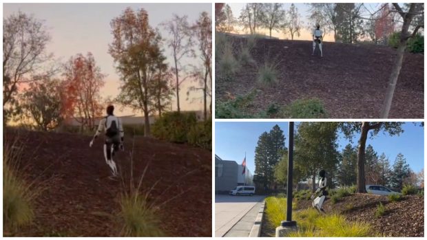 Optimus, robotul umanoid al Tesla, a ieșit la plimbare. „Plimbările zilnice îţi curăţă mintea” | VIDEO