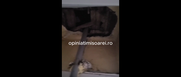 O bucată de tavan de la Maternitatea Odobescu din Timisoara s-a prăbuşit. Opt bebeluși au fost transferați la alt spital