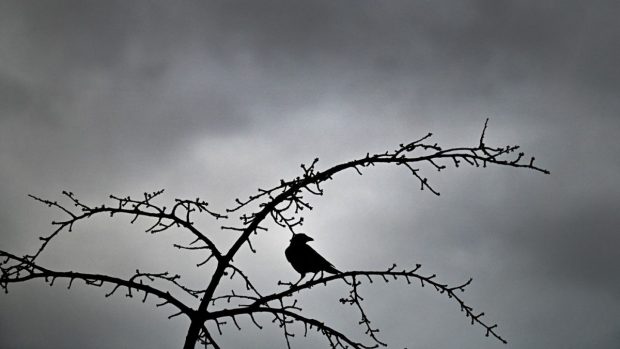 Cum va fi vremea mâine. Prognoza meteo pentru sâmbătă, 21 decembrie 2024