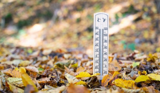 Vremea vine cu ninsori și ploi, iar temperaturile ajung până la -14 grade Celsius