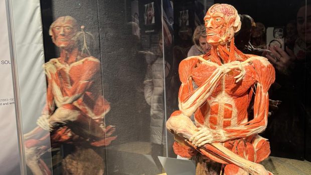 Expoziția de corpuri plastinate de la Biblioteca Națională se prelungește până pe 16 martie: „La cererea publicului”