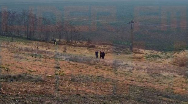 Un șofer a anunțat că a văzut ursul în Galați: „Fugea foarte tare, a trecut prin spatele nostru şi s-a tot dus”. Ce au găsit jandarmii