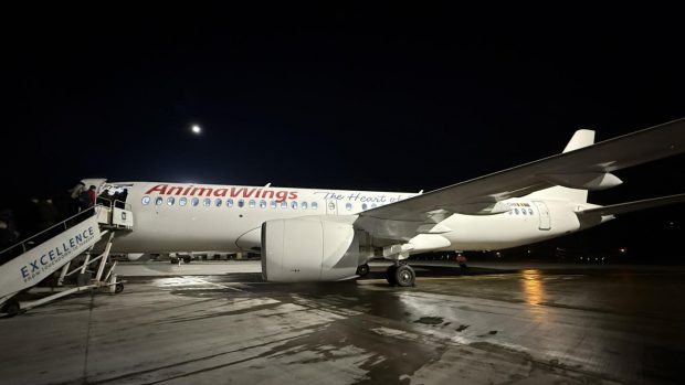 Primul zbor din 2025 pe ruta București – Cluj- Napoca, realizat de un Airbus al companiei aeriene Animawings. Ce rute vor fi disponibile anul acesta 