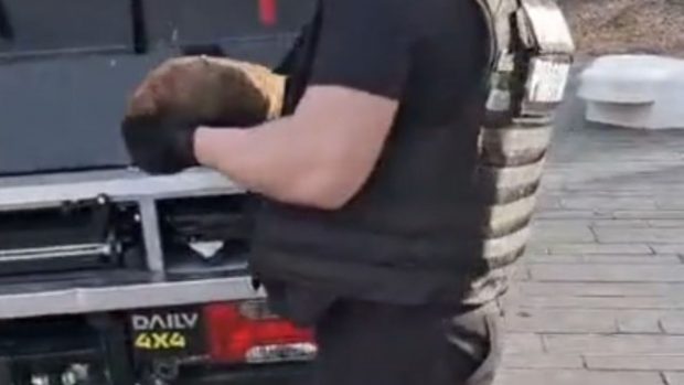 Detașamentul 2 de Pompieri Oradea, în alertă după ce a fost descoperită o bombă într-o pădure. „Artilerie cu încărcătură explozivă”