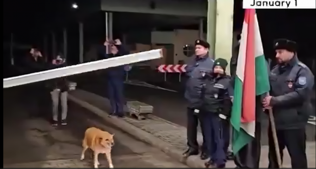 Un câine face „istorie”: prima ființă care a trecut granița Ungaria-România, după aderarea la Schengen