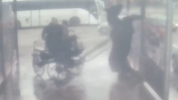 Un bărbat riscă trei ani de închisoare pentru că și-a spălat calul cu apă fierbinte la o spălătorie auto | VIDEO