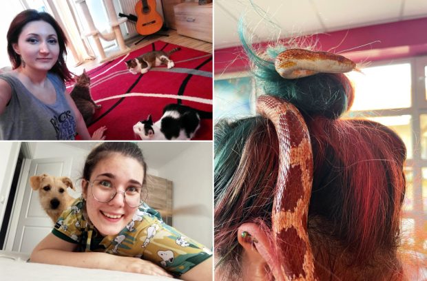Ce înseamnă să fii pet sitter în România. Oameni care practică meseria: „Mulți au încă nevoie să înțeleagă responsabilitatea unui animal de companie”