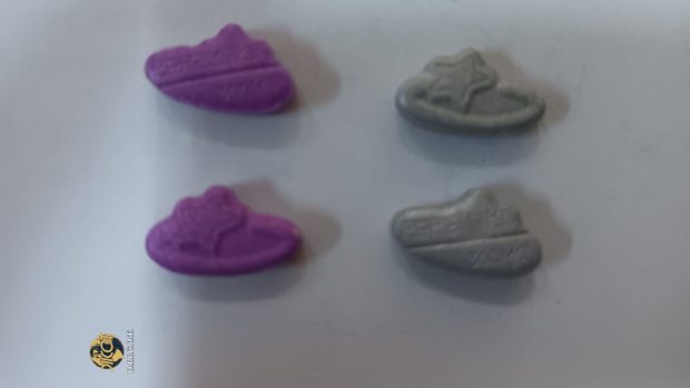 Doi români au primit din Olanda, prin curier, o pungă de mâncare pentru câini plină cu ecstasy