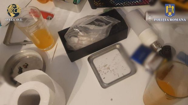 Doi români au fost arestați după ce au ascuns într-o pungă de hrană pentru pisici drogurile comandate din Olanda