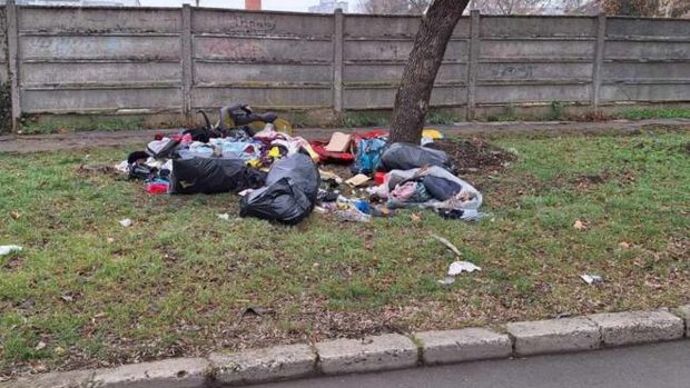 Doi bărbați din Timișoara, amendați cu 90.000 de lei pentru că au aruncat gunoiul pe domeniul public