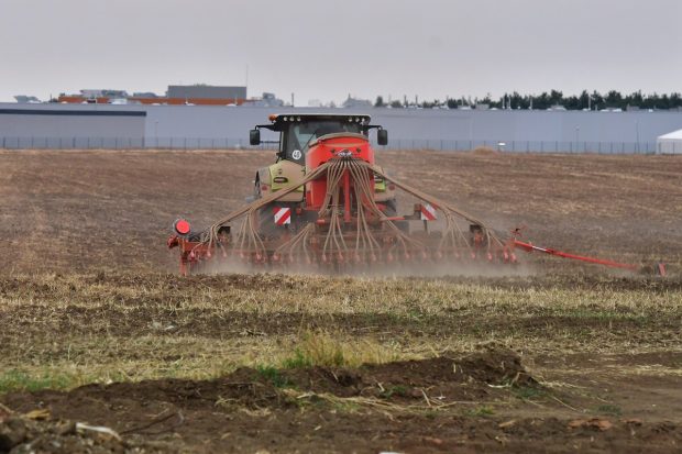 România a ajuns cel mai mare exportator de grâu din Uniunea Europeană. Experții cred că e vorba de grâu ucrainean, agricultorii acuză distrugerea zootehniei