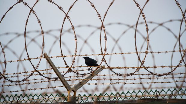 Statele Unite negociază un schimb de deținuți cu talibanii: trei americani din Afganistan pentru un presupus asociat al lui Osama bin Laden închis la Guantanamo