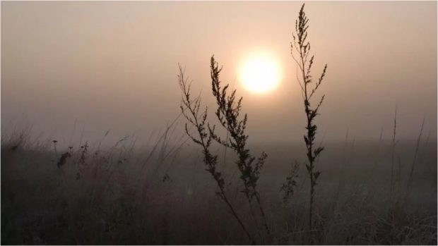 Cum va fi vremea în următoarele patru săptămâni. Meteorologii au emis prognoza meteo