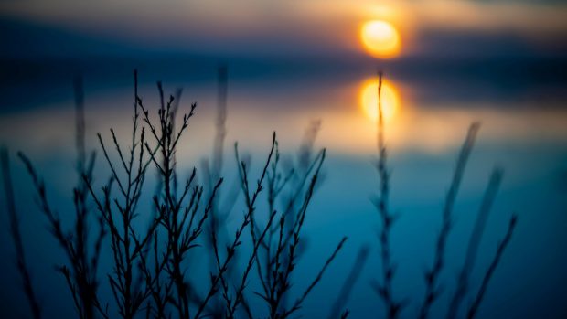 Cum va fi vremea în perioada 3 februarie – 3 martie 2025. Prognoza meteo pentru următoarele patru săptămâni
