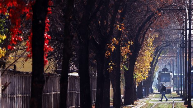 Cum va fi vremea mâine. Prognoza meteo pentru duminică, 26 ianuarie 2025