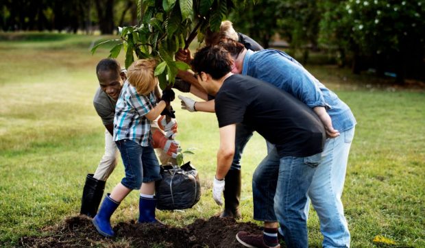 Povestea celor 100 de voluntari care au plantat mii de copaci pe 30 de hectare de pajiște 