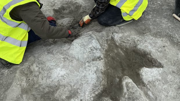 Peste 200 de urme de dinozauri de 166 milioane de ani, descoperite în Anglia. De ce importanța lor este una majoră I VIDEO