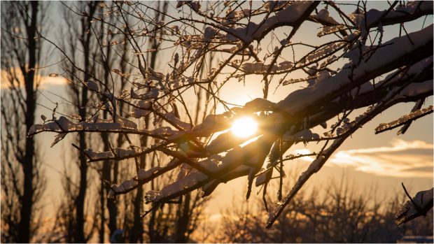 Cum va fi vremea în perioada 20 ianuarie – 2 februarie. Prognoza meteo pentru următoarele două săptămâni