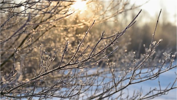 Cum va fi vremea în București. Prognoza meteo în perioada 2 ianuarie 2025 – 4 ianuarie 2025