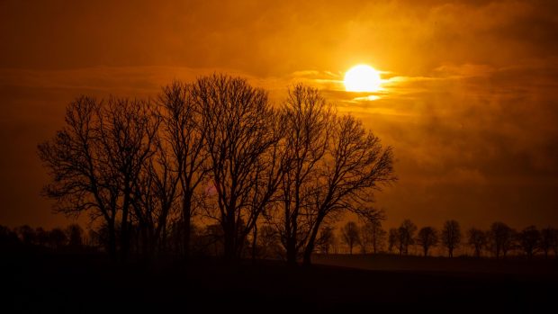 Cum va fi vremea mâine. Prognoza meteo pentru sâmbătă, 1 februarie 2025