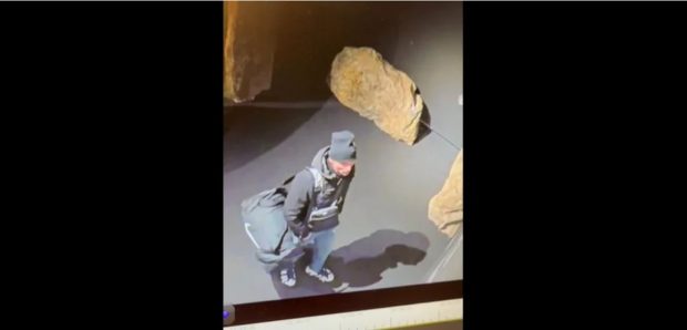 Un suspect în cazul furtului tezaurului dacic din Olanda, filmat de o cameră de supraveghere. „Investigație serioasă asupra acestei persoane”