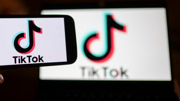 Țările care au interzis TikTok și motivele invocate
