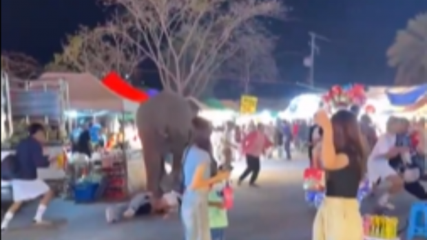 Haos la un festival din Thailanda, după ce un elefant a scăpat de sub control | VIDEO