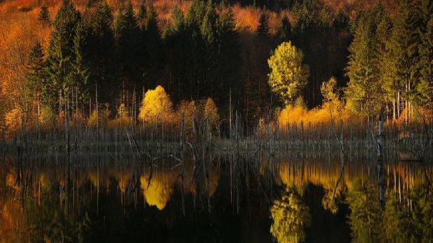 Vlad, un român de 18 ani, se numără printre câștigătorii concursului Travel photographer of the Year 2024: „Extrem de onorat” 