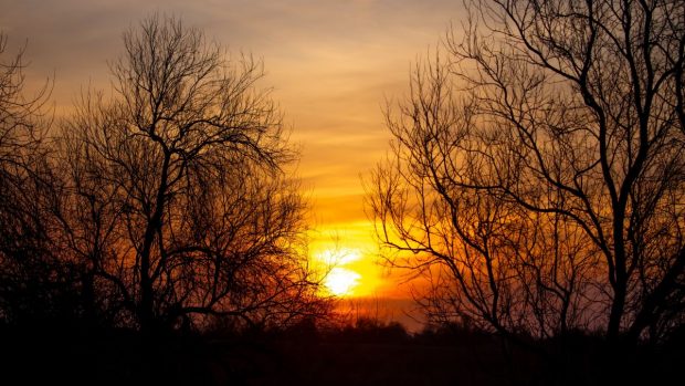 Cum va fi vremea în perioada 27 ianuarie – 23 februarie 2025. Prognoza meteo pentru următoarele patru săptămâni