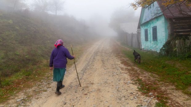 O tânără și-a vizitat bunica din Vaslui, de ziua ei, a sedat-o și i-a furat economiile de-o viață