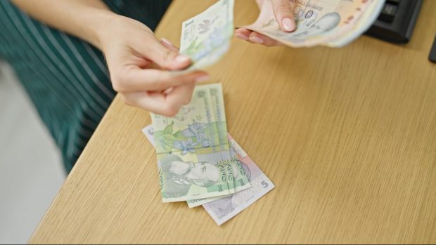 Bursă de 700 de lei de la stat pentru mamele tinere din România