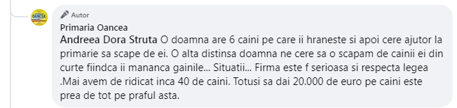 Primăria din Oancea, județul Galați, plătește aproape 20.000 de euro pentru prinderea câinilor fără stăpân: „Prea de tot, pe praful ăsta!”