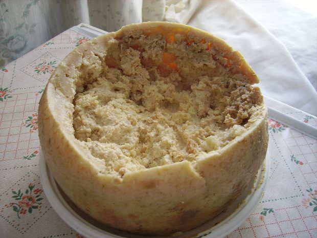 Casu marzu: Cea mai periculoasă brânză din lume