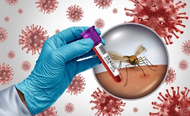 Ce este febra Dengue. Cum se transmite, simptome, tratament şi prevenţie