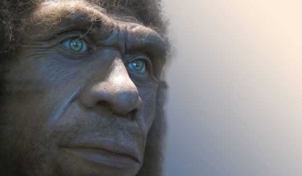 Cum arătau neanderthalienii? ADN-ul dezvăluie secrete despre cea mai apropiată rudă a omului modern