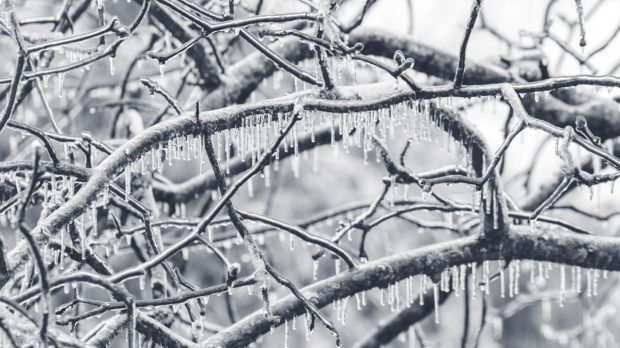 Vreme rece și ger de până la -17 grade Celsius, în următoarele trei zile, anunță ANM. Care sunt zonele vizate