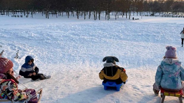 Parcul din Mogoșoaia, lăsat plin cu zăpadă pentru copii: „Hai afară, la zăpadă”