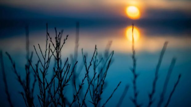 Cum va fi vremea în perioada 3 – 16 februarie 2025. Meteorologii au emis prognoza meteo pentru următoarele două săptămâni