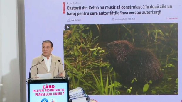 Castorii din Cehia, inspirație pentru primarul Daniel Băluță. Știrea publicată de Libertatea, exemplu pentru lucrările la Planșeul Unirii
